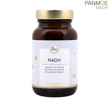 NADH Kapseln mit PANMOL