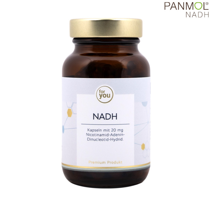 NADH Kapseln mit PANMOL