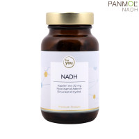 NADH Kapseln mit PANMOL