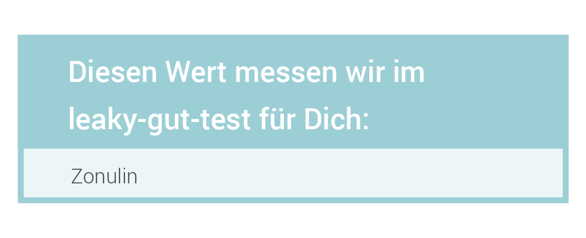 for you leaky-gut test – Darmtest für zuhause — Bild 3