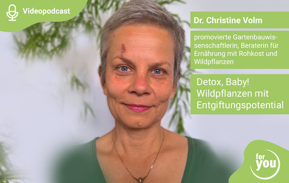 Detox, Baby! Wildpflanzen mit Entgiftungspotential - for you Videopodcast Detox, Baby! Wildpflanzen mit Entgiftungspotential - for you Videopodcast