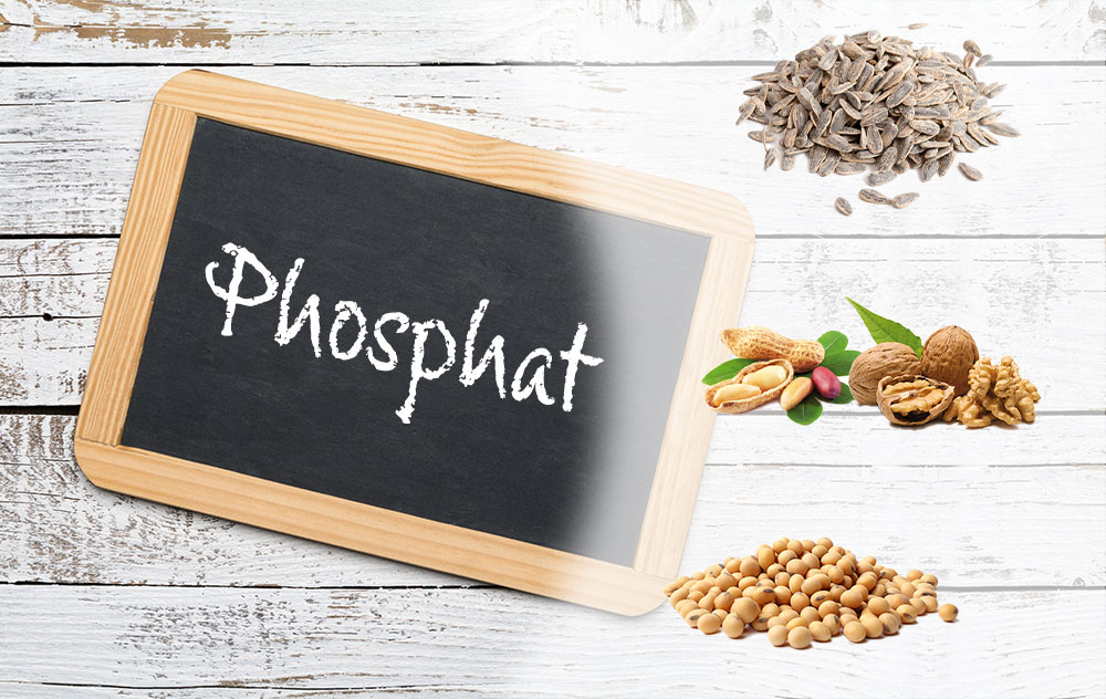 lebensmittel-mit-phosphat-liste-mit-phosphatreichen-lebensmitteln