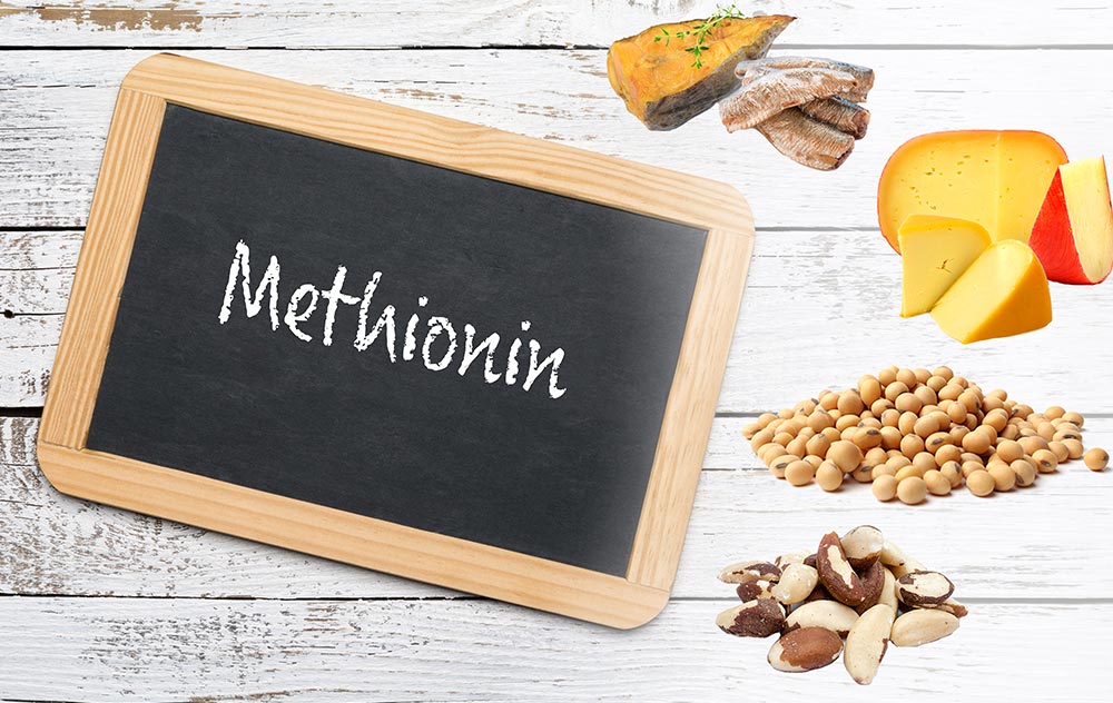 methionin-lebensmittel-liste