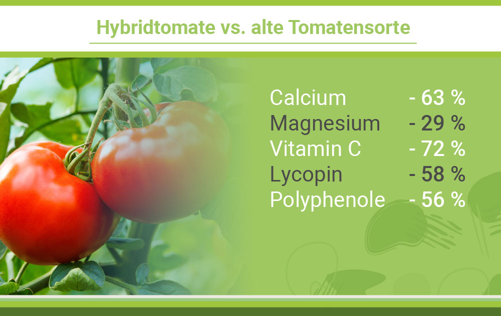 naehrstoffgehalt_frueher_und_heute_gesund_leben_blog