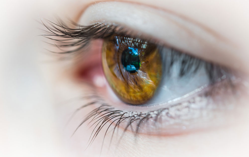 Vitamin A für scharfe Augen & schöne Haut – for you eHealth