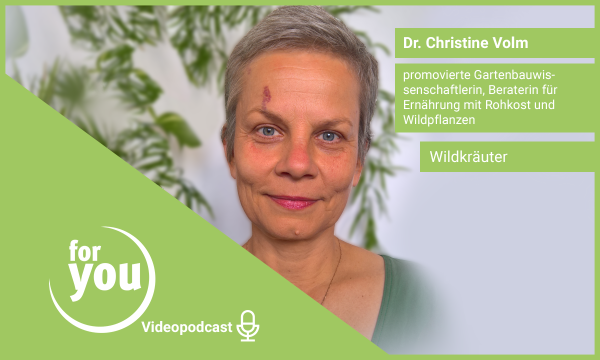 for you Videopodcast: Wildkräuter mit Dr. Christine Volm