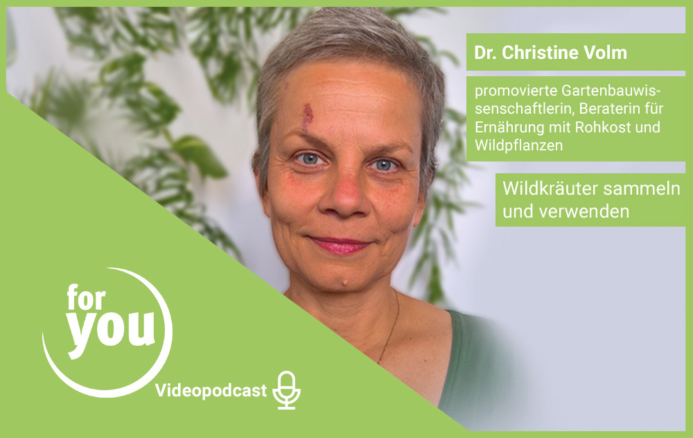 for you Videopodcast: Wildkräuter sammeln und verwenden mit Dr. Christine Volm