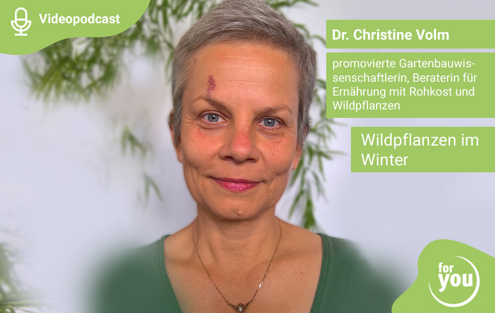 Wildpflanzen im Winter - for you Videopodcast