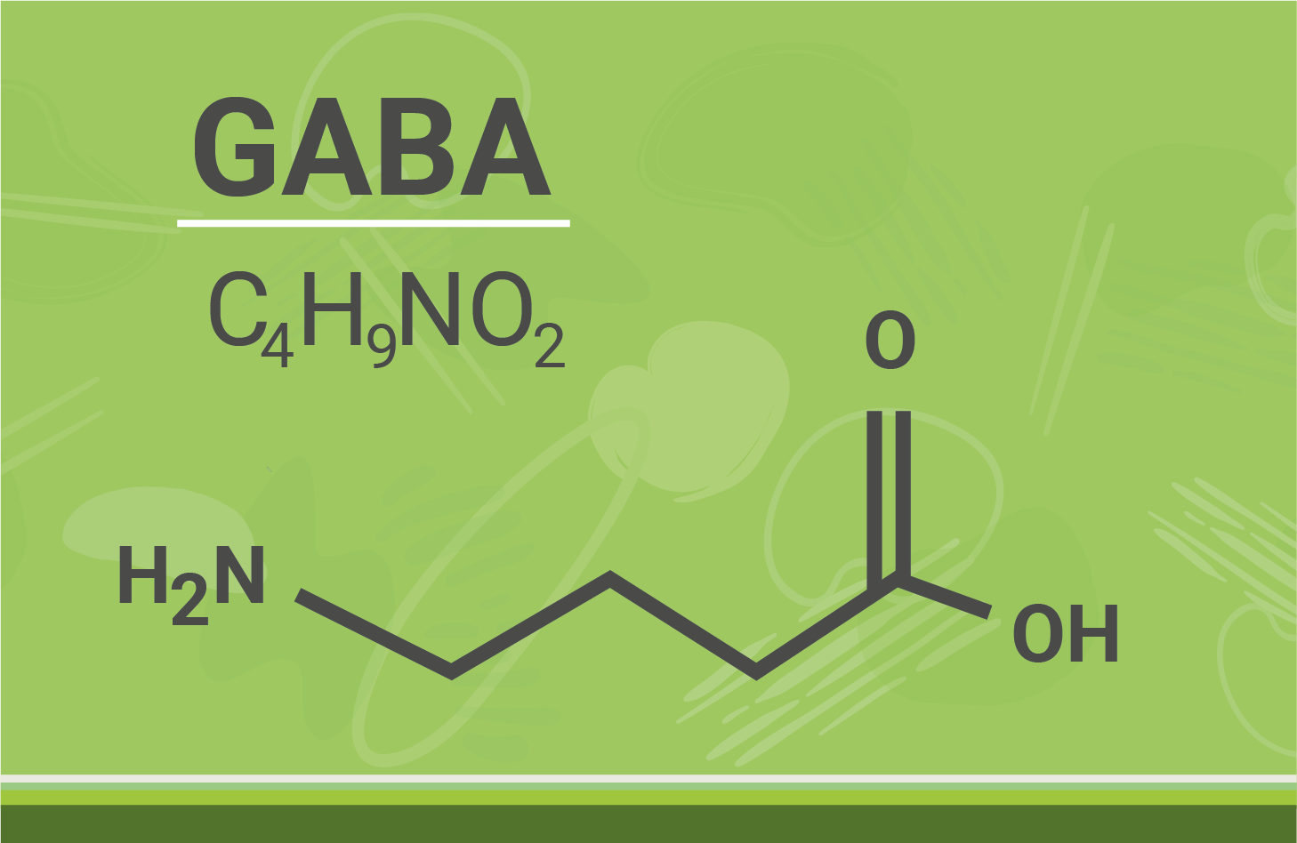 gamma-aminobuttersaeure-gaba-chemische-struktur