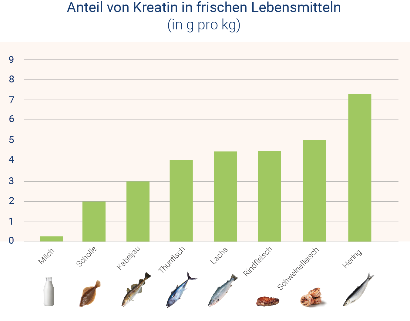 infografik-anteil-von-kreatin-in-frischen-lebensmitteln