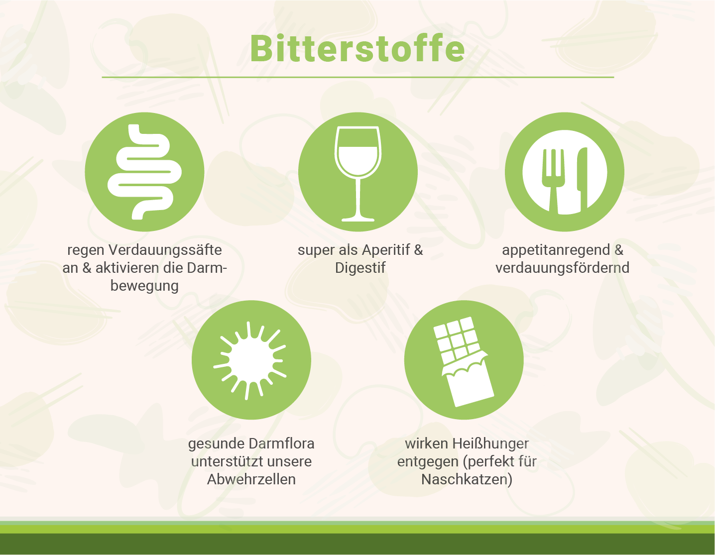 infografik-bitterstoffe-verdauung-und-vorteile-fuer-gesunde-darmflora