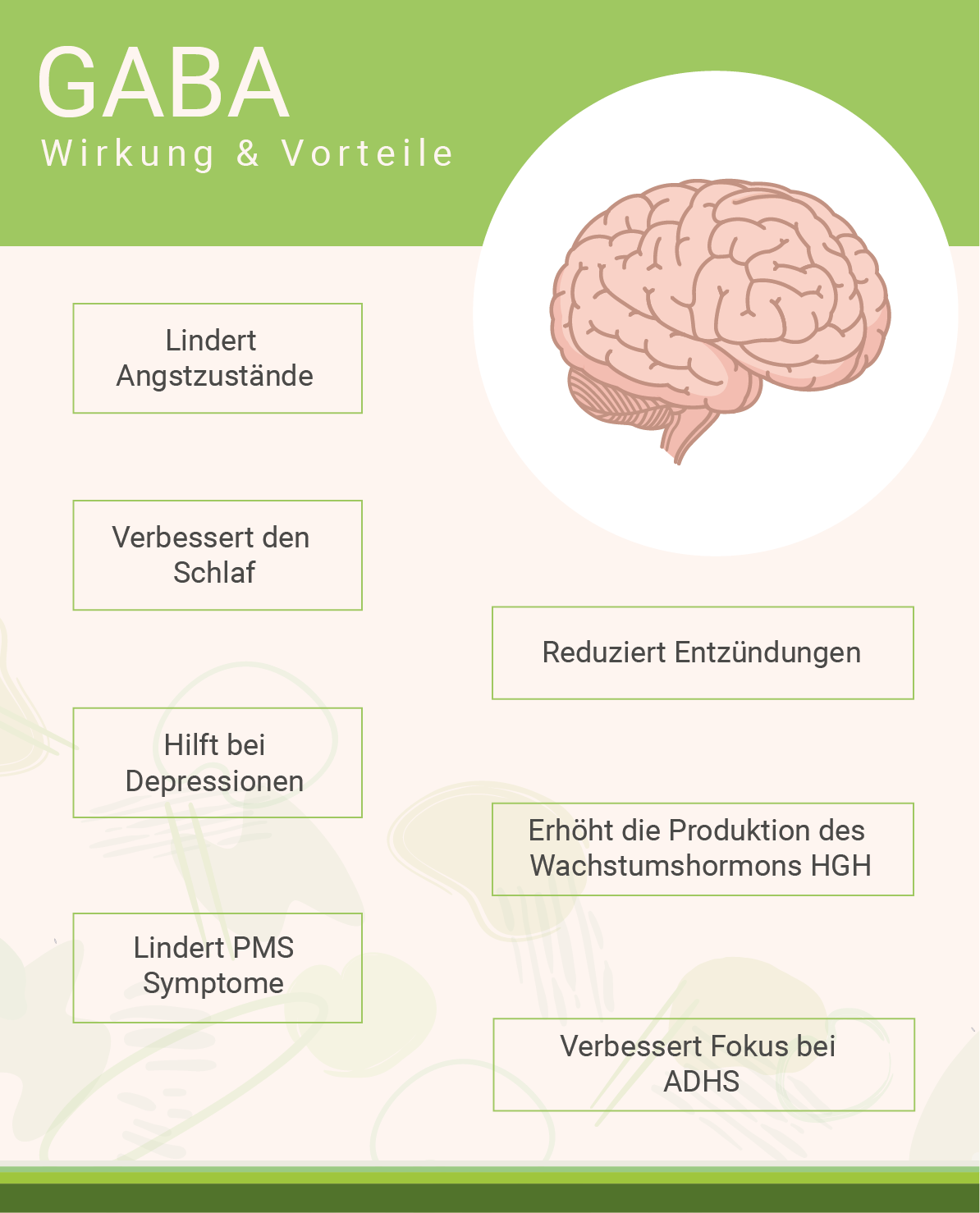 infografik-gamma-aminobuttersaeure-wirkung-und-vorteile