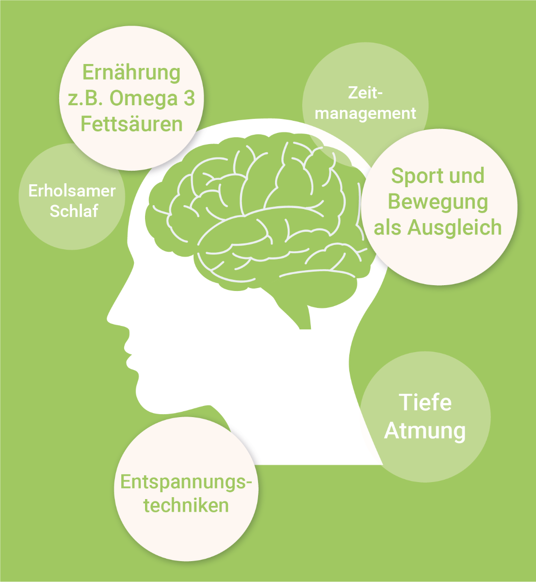 infografik-stressmanagement-omega-3-wirkung