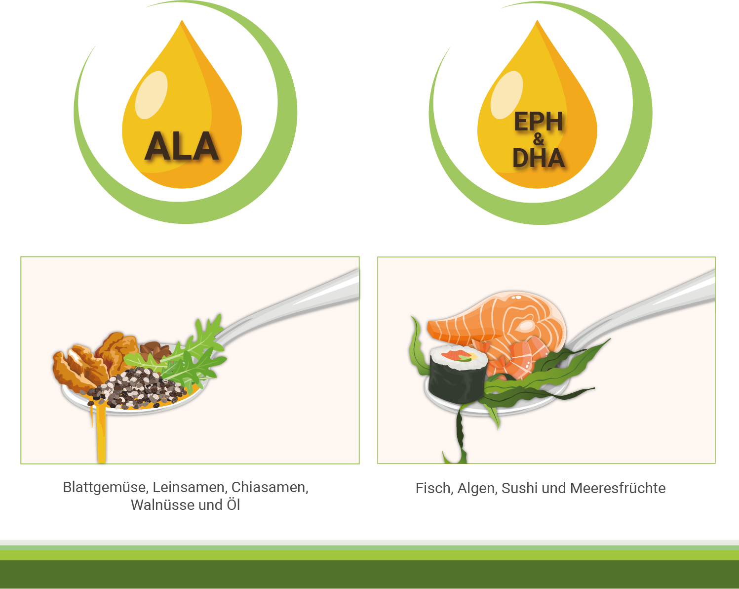 infografik-vorkommen-ala-und-epa-dha-omega-3-wirkung