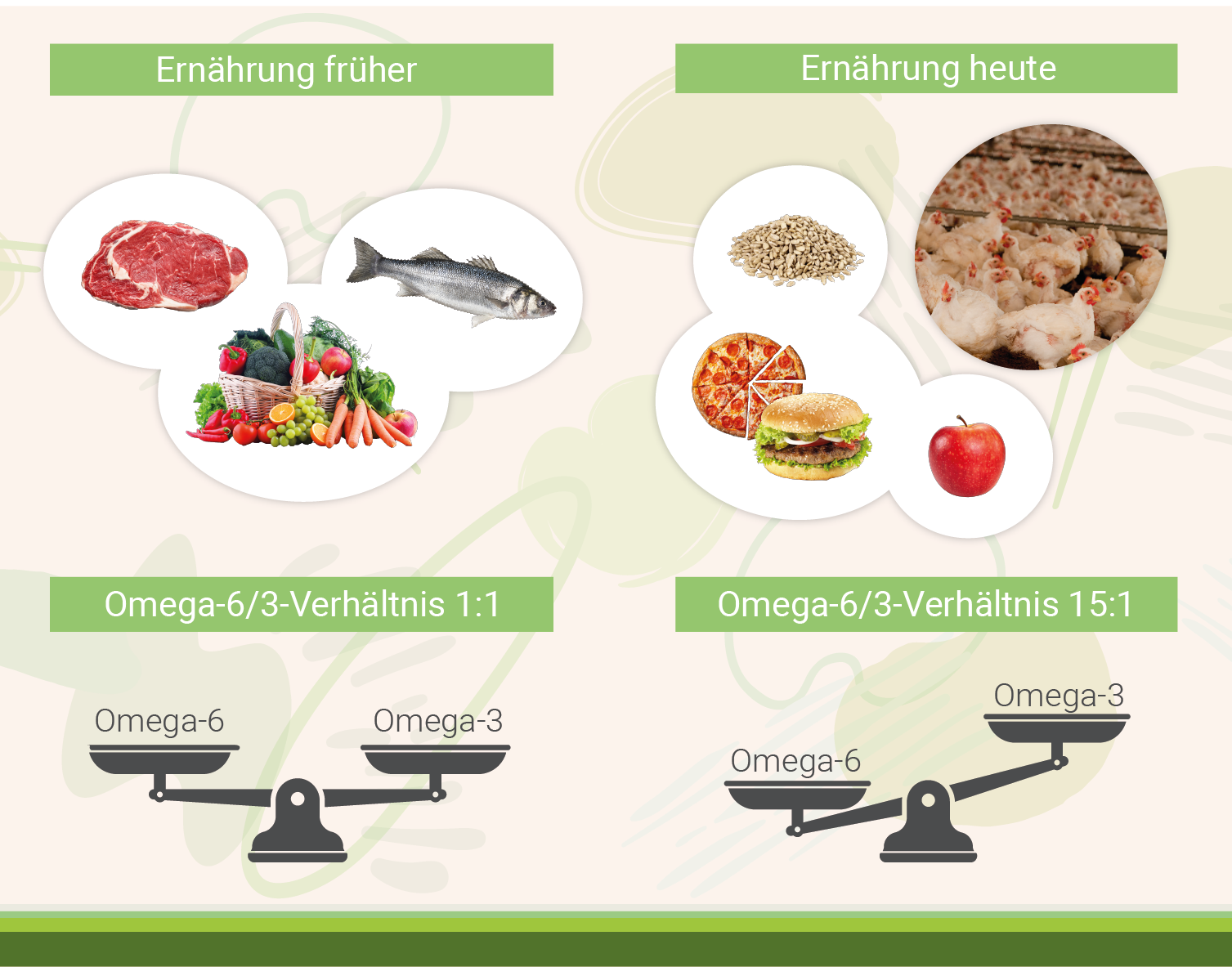 infografik-fettsaeureverhältnis-frueher-und-heute