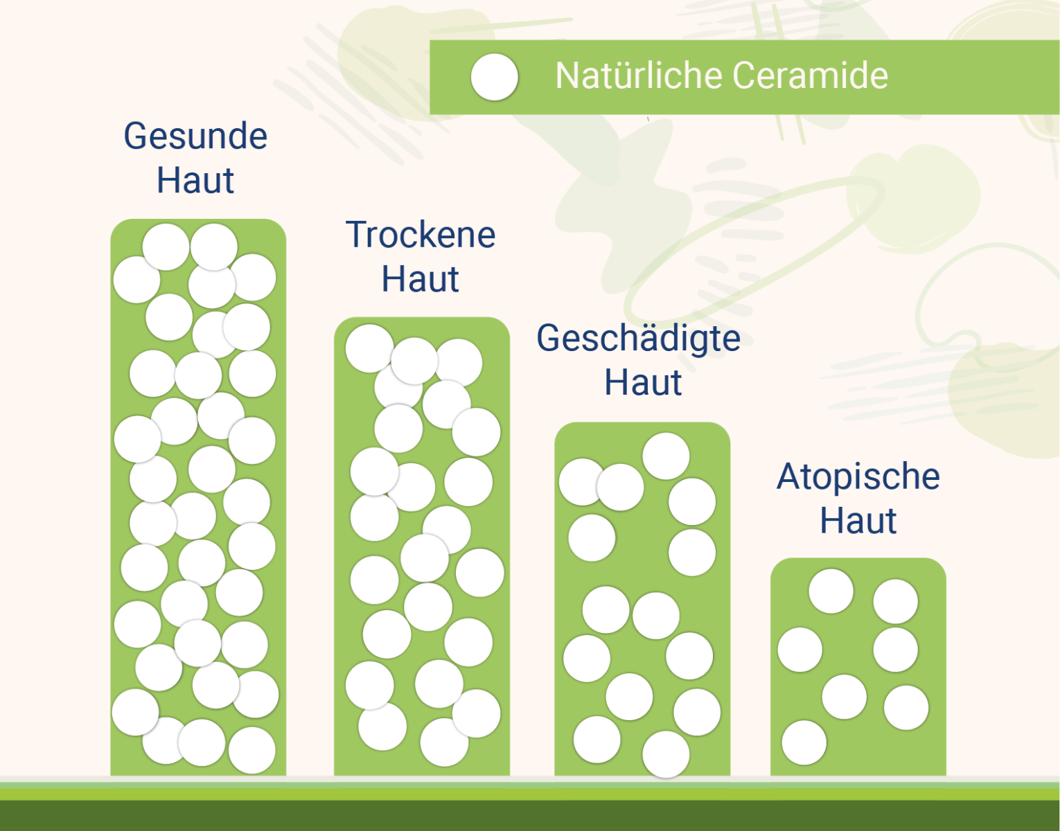 infografik-natuerliche-ceramide""