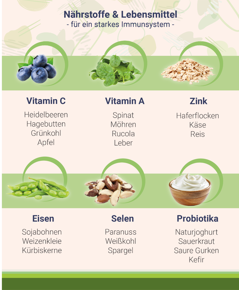 immunsystem-staerken-mit-diesen-lebensmitteln