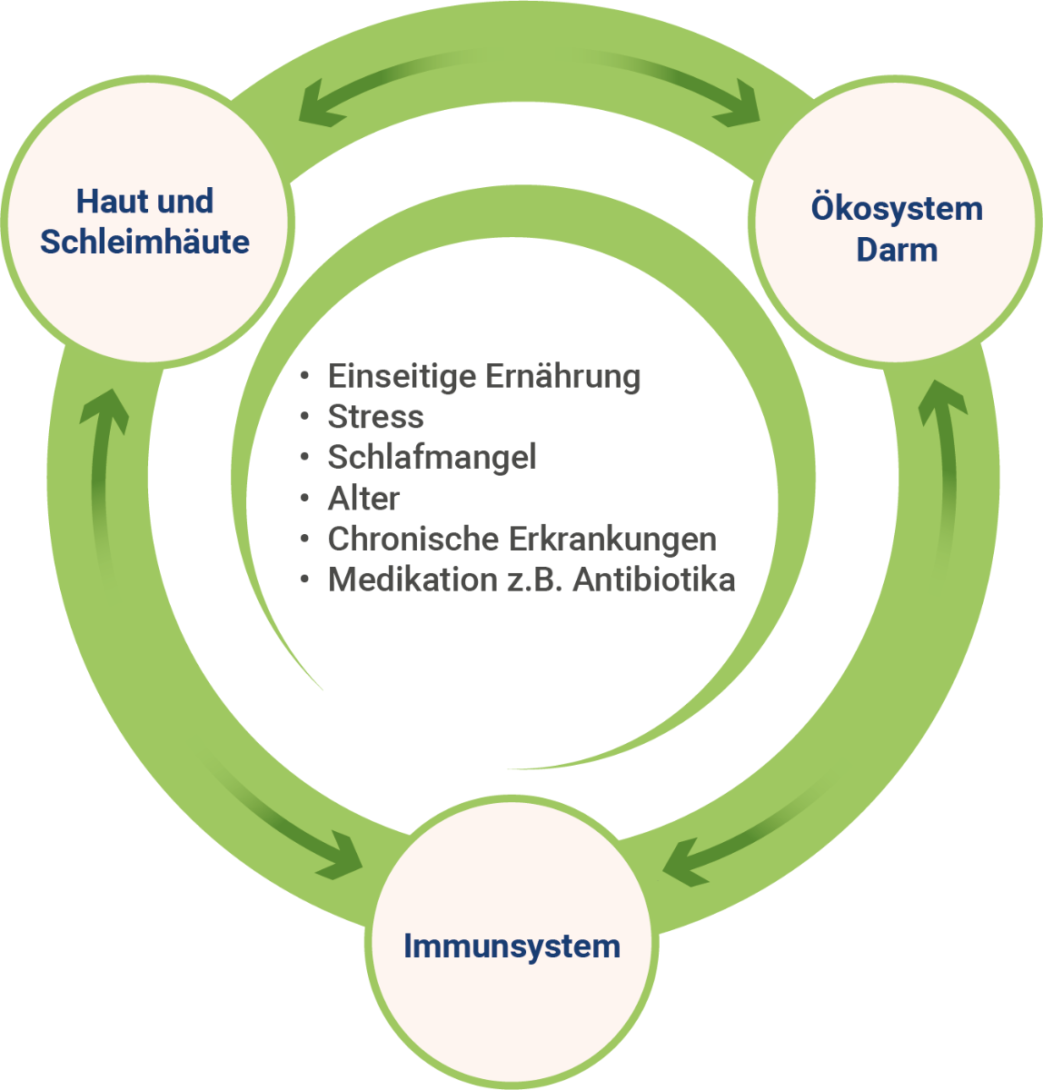 schwaches-immunsystem-ursachen