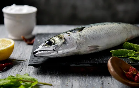 Fisch - Liste mit närstoffreichen Lebensmitteln fisch-liste-mit-naehrstoffreichen-lebensmitteln