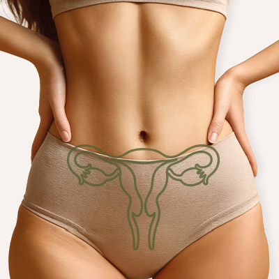 Schaubild zeigt den Bauch unter Unterkörper einer Frau