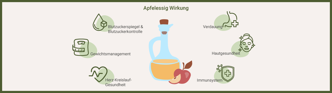 So wirkt Apfelessig Infografik: Apfelessig Wirkung
