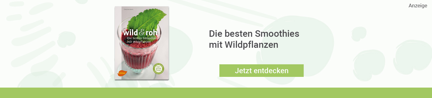 Wild und Roh Buch - Christine Volm