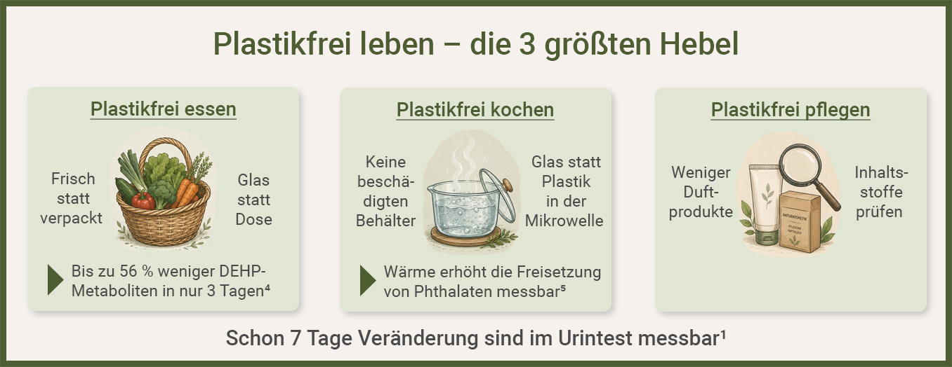 Infografik zeigt die drei größten Hebel für ein plastikfreies Leben
