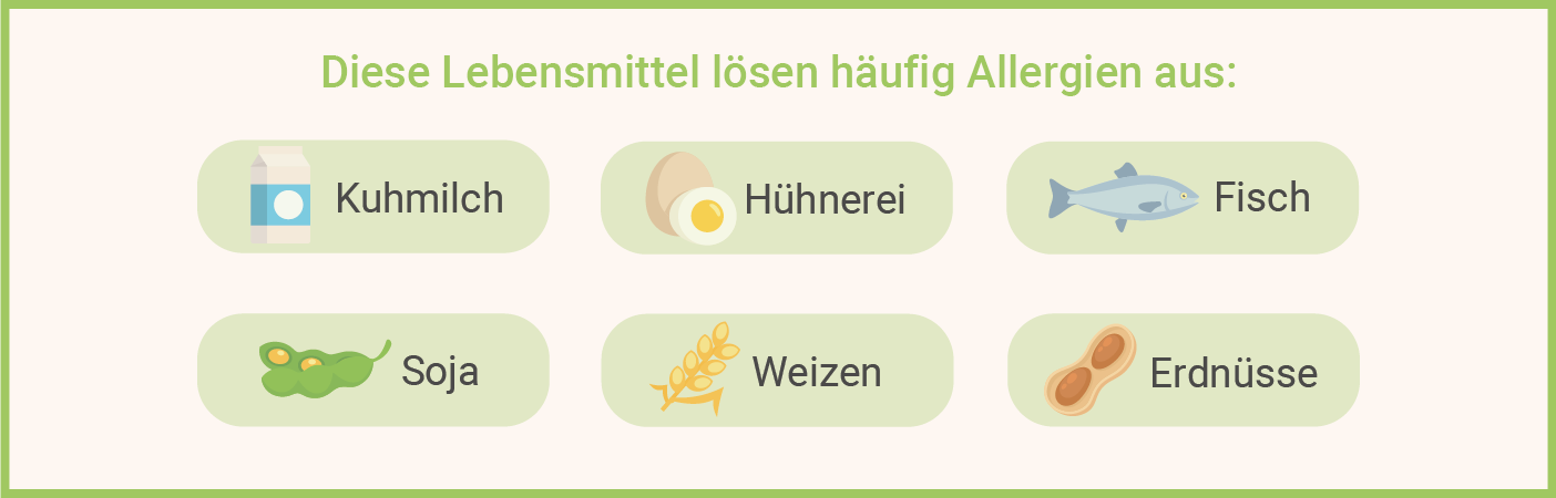 IgE-Test Lebensmittel als Auslöser für Allergien Infografik: IgE-Test Lebensmittel als Allergieauslöser