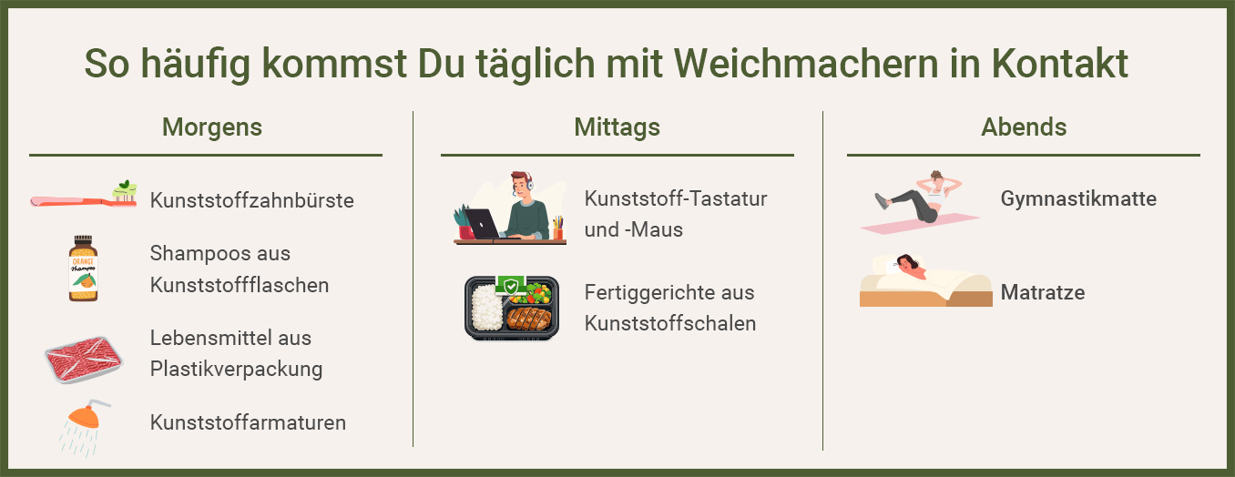 Infografik zeigt, wie häufig wir im Alltag in Berührung mit Weichmachern kommen