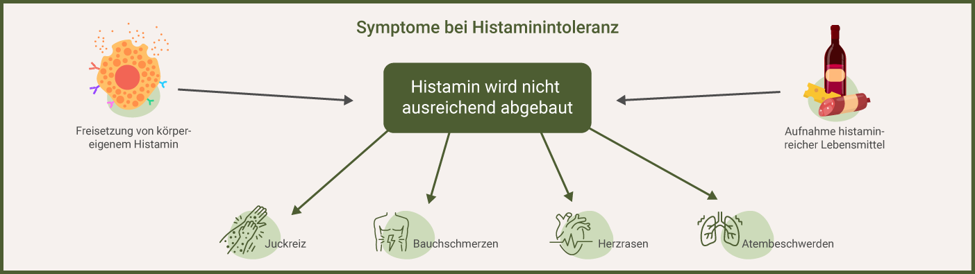 symptome-bei-histaminintoleranz histaminintoleranz-symptome