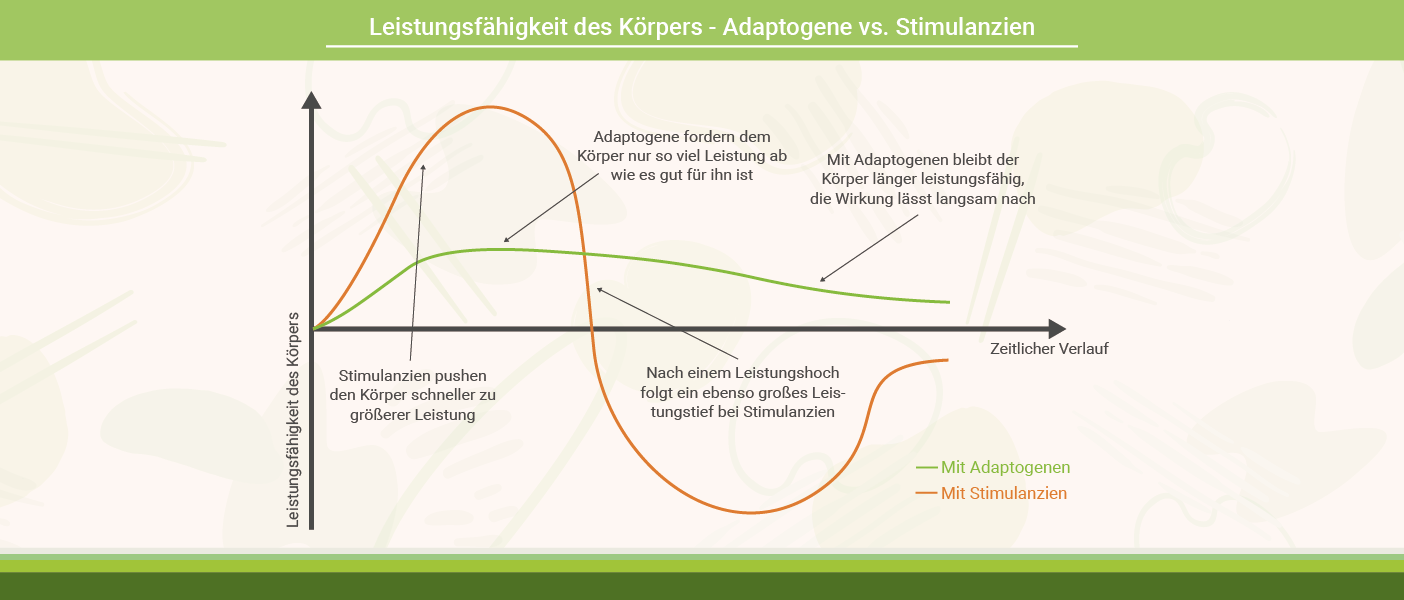 Leistungsfähigkeit des Körpers - Adaptogene vs. Stimulanzien Infografik: Adaptogene - Leistungsfähigkeit