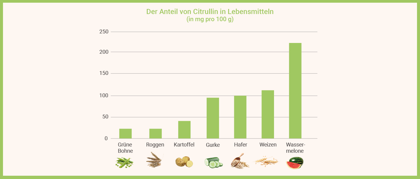 Infografik: Citrullin Malat Anteil in Lebensmitteln
