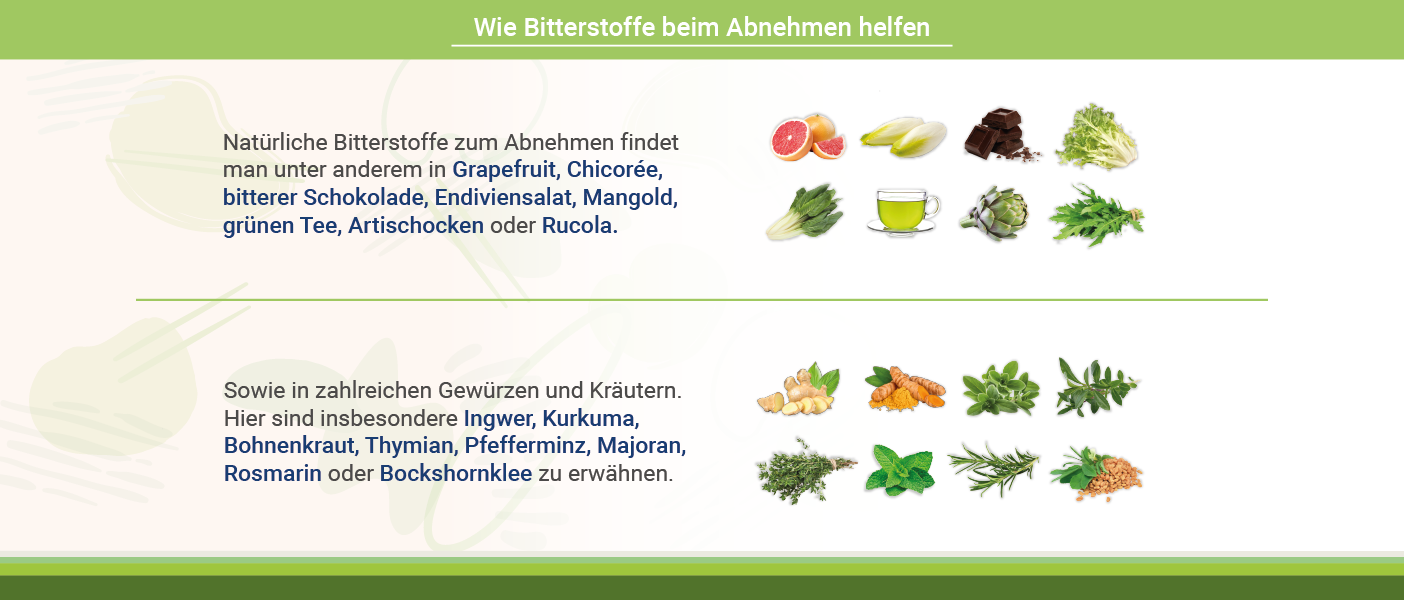 Wie Bitterstoffe beim Abnehmen unterstützen Infografik: Wie Bitterstoffe Abnehmen unterstützen