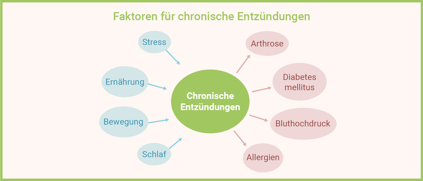 Faktoren für chronische Entzündungen im Körper Infografik: Chronische Entzündungen Faktoren