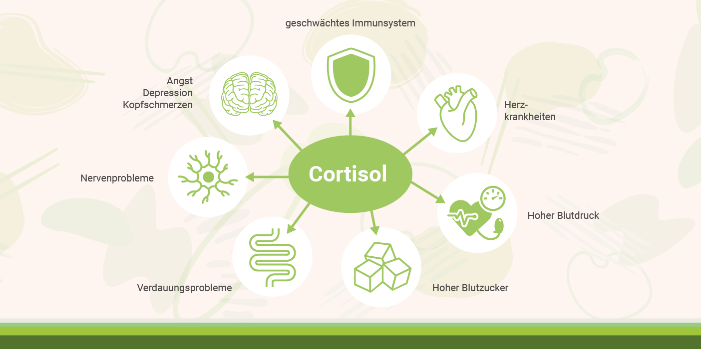 infografik-cortisol-auswirkungen-bei-ashwagandha-einnahme