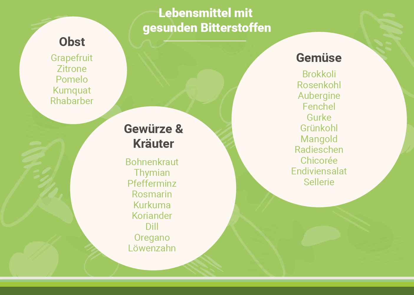 infografik-lebensmittel-mit-bitterstoffen