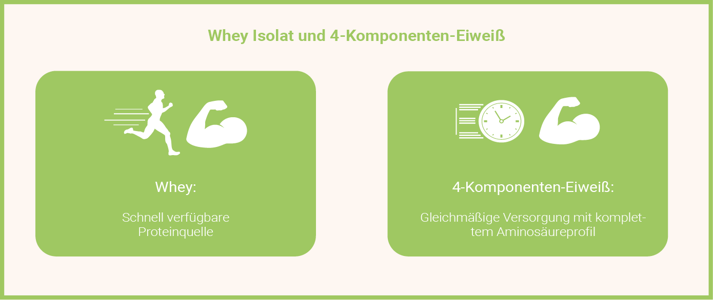 Whey Isolat und 4-Komponenten-Eiweiß Infografik: Mehrkomponenten Protein - Whey Protein: Welches ist besser?