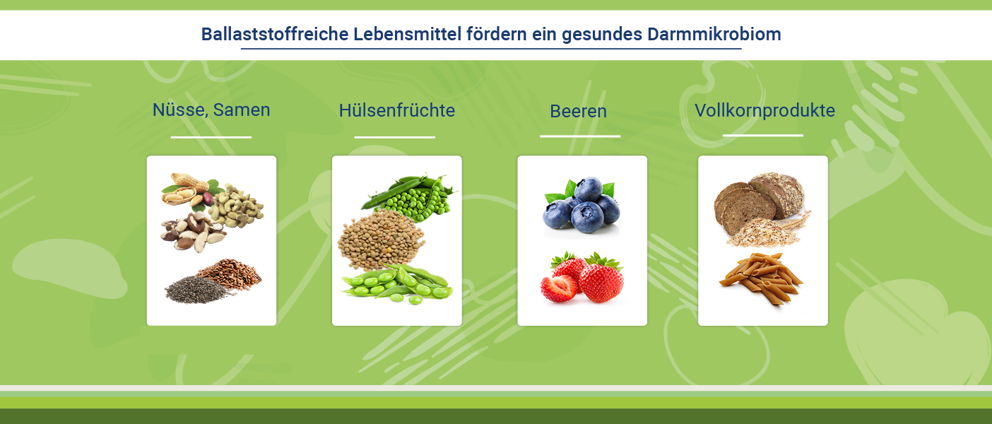 Infografik: Ballaststoffreiche Lebensmittel für Mikrobiom Darm verbessern