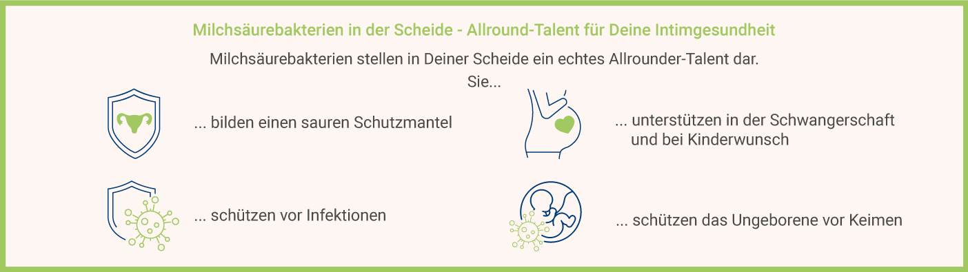 Milchsäurebakterien in der Scheide - Allround-Talent für Deine Intimgesundheit Milchsäurebakterien in der Scheide Aufgaben