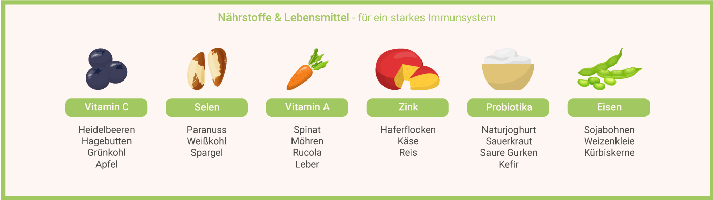 Nährstoffe & Lebensmittel – für ein starkes Immunsystem Lebensmittel, um Erkältungen vorzubeugen