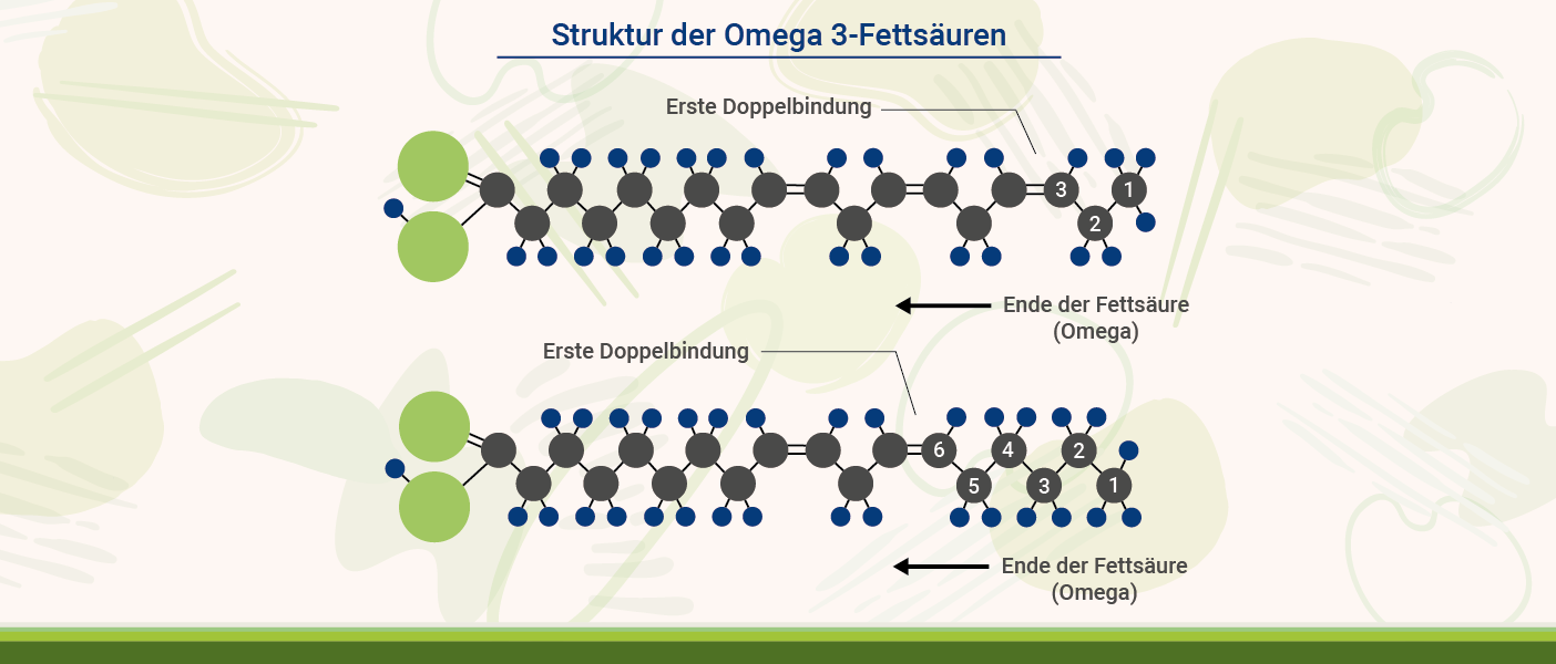 Infografik: Struktur Omega-3 Fettsäuren