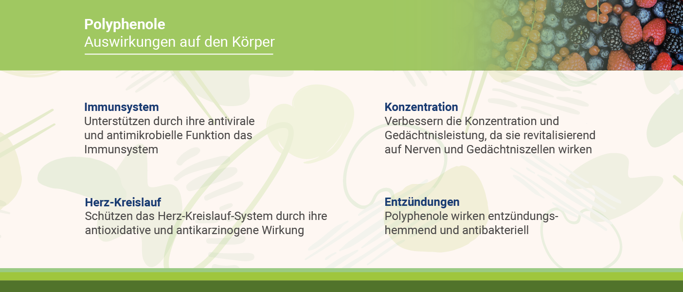 Infografik: Auswirkungen von Polyphenole auf den Körper