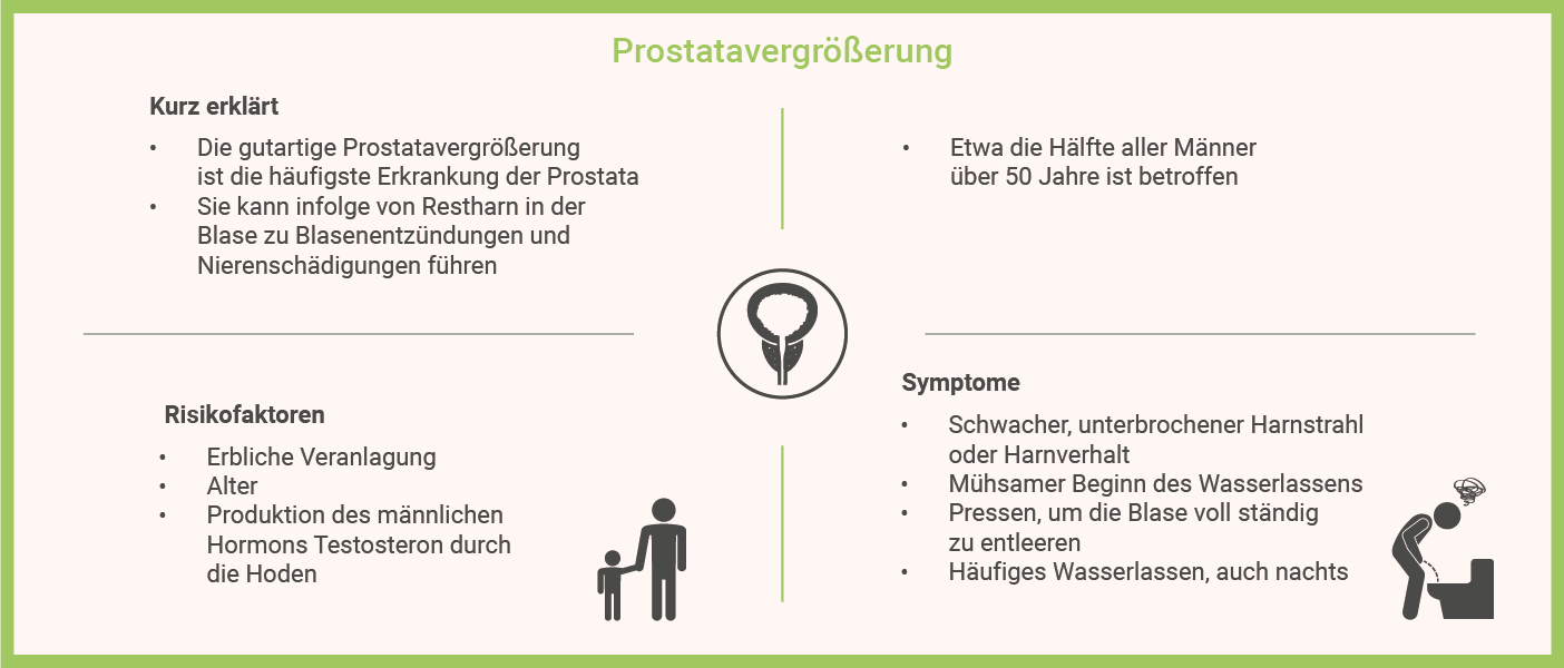 Prostatavergrößerung Infografik: Prostatavergrößerung