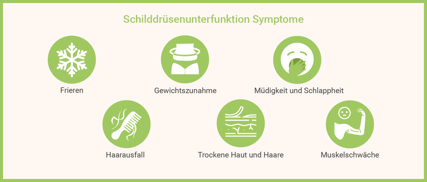 Infografik: Schilddrüsenunterfunktion Symptome