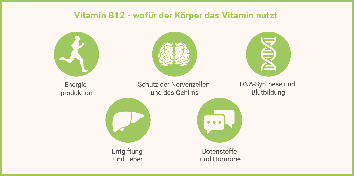 Vitamin B12: Wofür braucht es der Körper