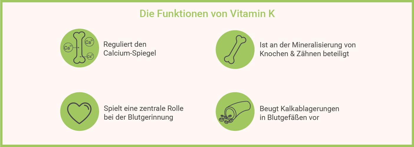 Infografik: Vitamin K2 funktion