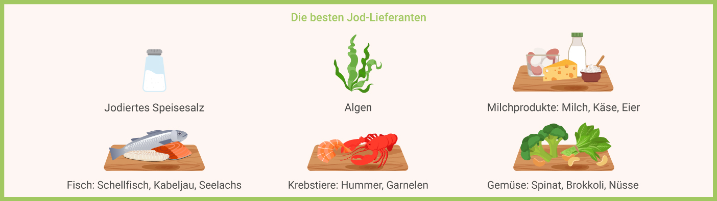 Die besten Jod-Lieferanten Jodhaltige Lebensmittel