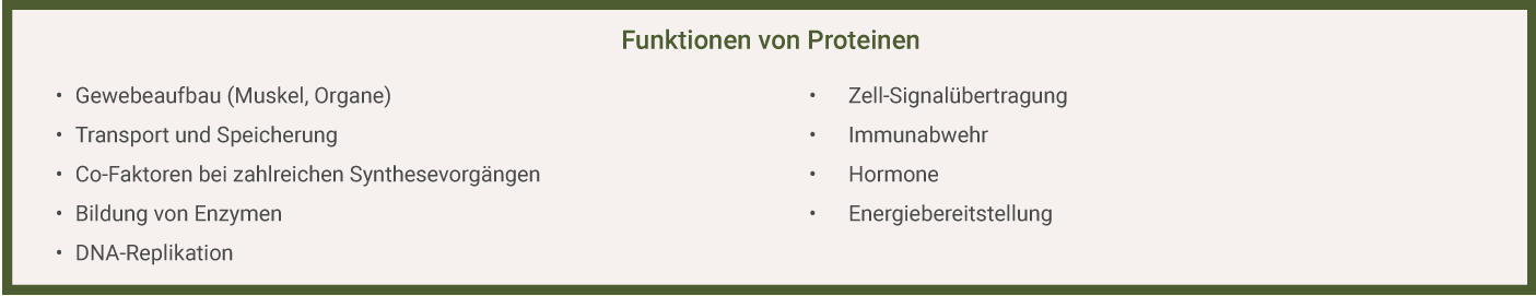 Funktionen von Proteinen Funktionen Proteine