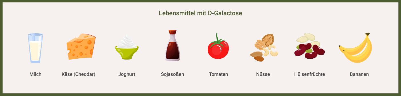 Diese Lebensmittel enthalten D-Galactose Infografik: Lebensmittel mit D-Galactose