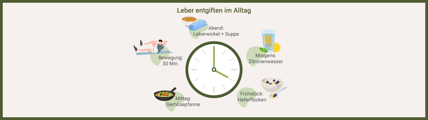 Leberfreundlicher Tagesplan Infografik: Leber entgiften Tagesplan